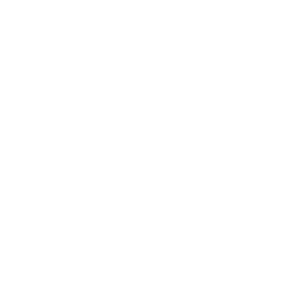 Tiktok Icon